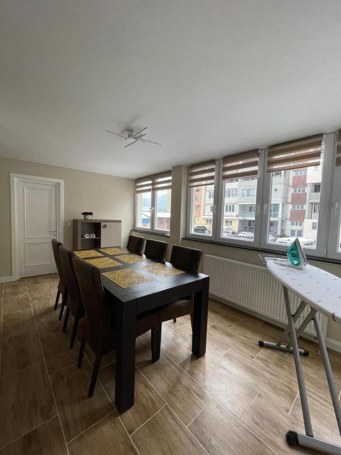 Apartament 1 Lalelelor Nasaud Zewnętrze zdjęcie